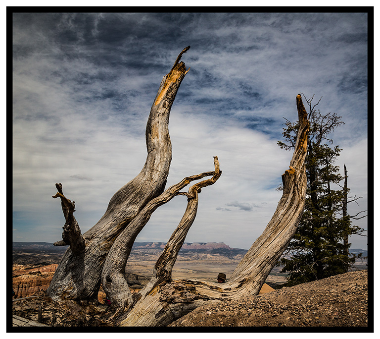 Asigned Subject In Class A By Lynn Curtis For Mesa NOV-2018.jpg